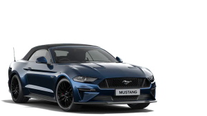 2022.25 MUSTANG