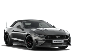 MUSTANG