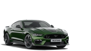 2022.25 MUSTANG MACH 1
