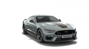 2022.25 MUSTANG MACH 1 Mach 1 Fighter Jet Gray