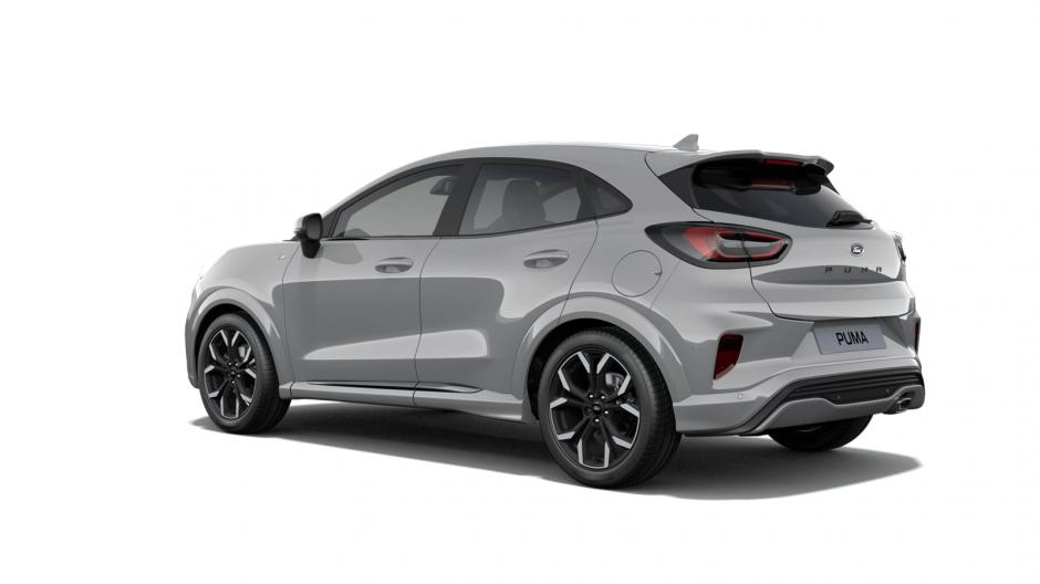 gray ford puma